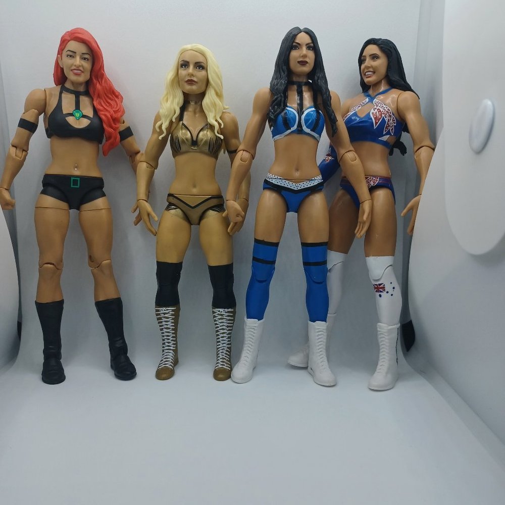 WWE Female Wrestlers Lot
